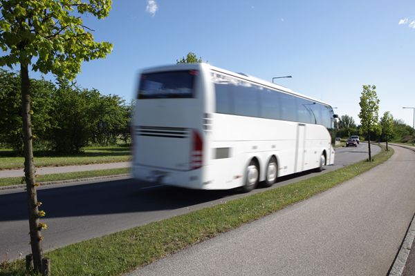Viking bus