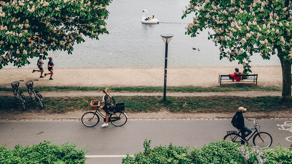 Bikes 